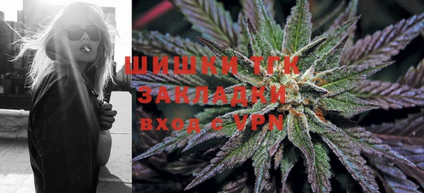 хмурый Алзамай