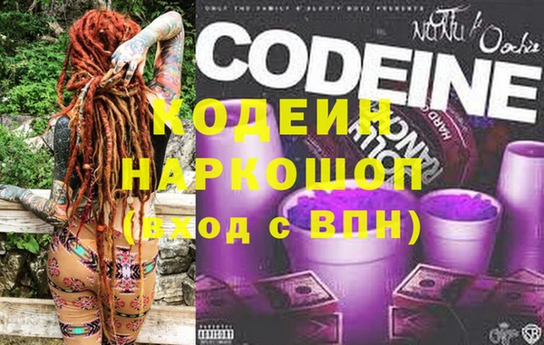 хмурый Алзамай