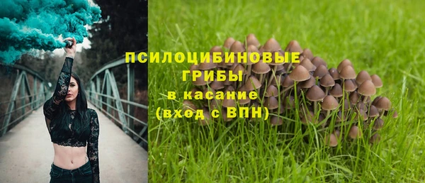 a pvp Алексин