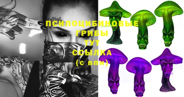 хмурый Алзамай