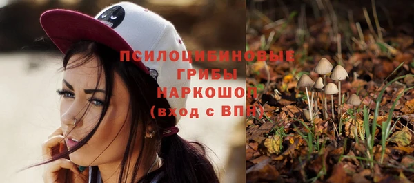 хмурый Алзамай
