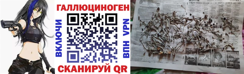 omg ссылки Петров Вал Псилоцибиновые грибы Cubensis закладка